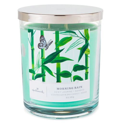 Morning Rain 3-Wick Jar Candle, 16 oz., 