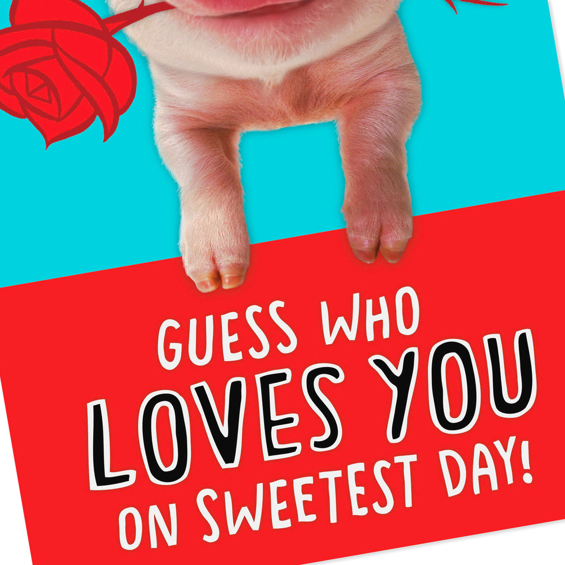 Love You Googly Eye Pig Funny Sweetest Day Card Greeting Cards Hallmark