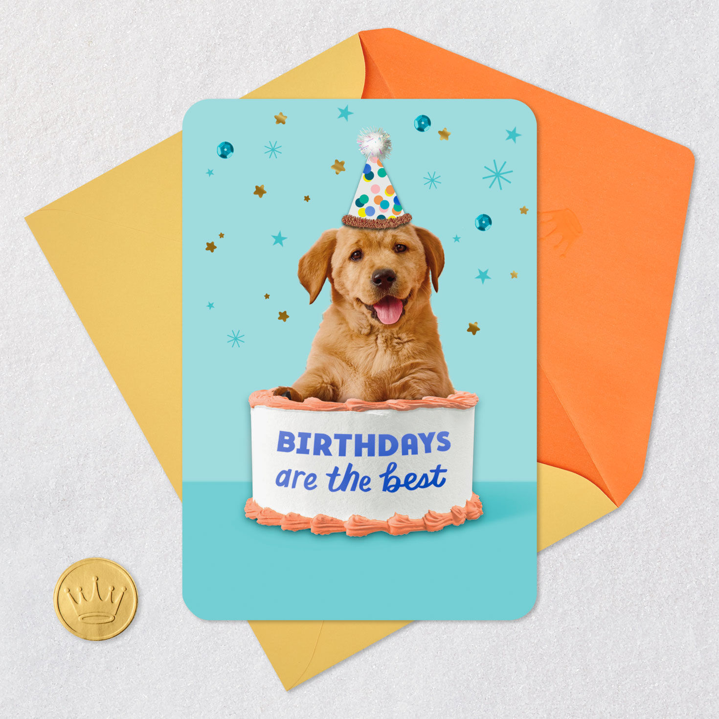 Puppy Dog on Cake Birthday Card Card Front with Envelope and Gold Seal image number 5