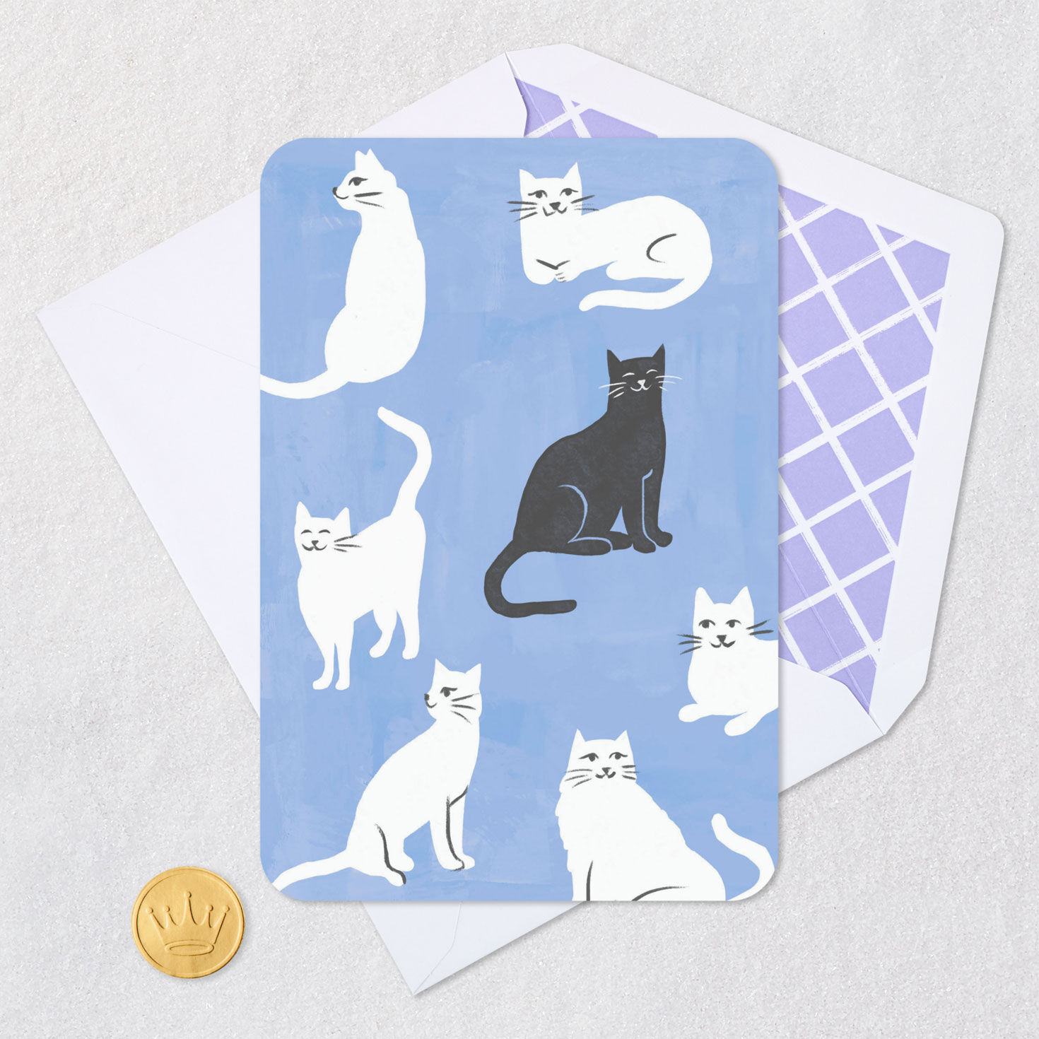 Black and White Cats Blank Card Card Front Detail image number 4