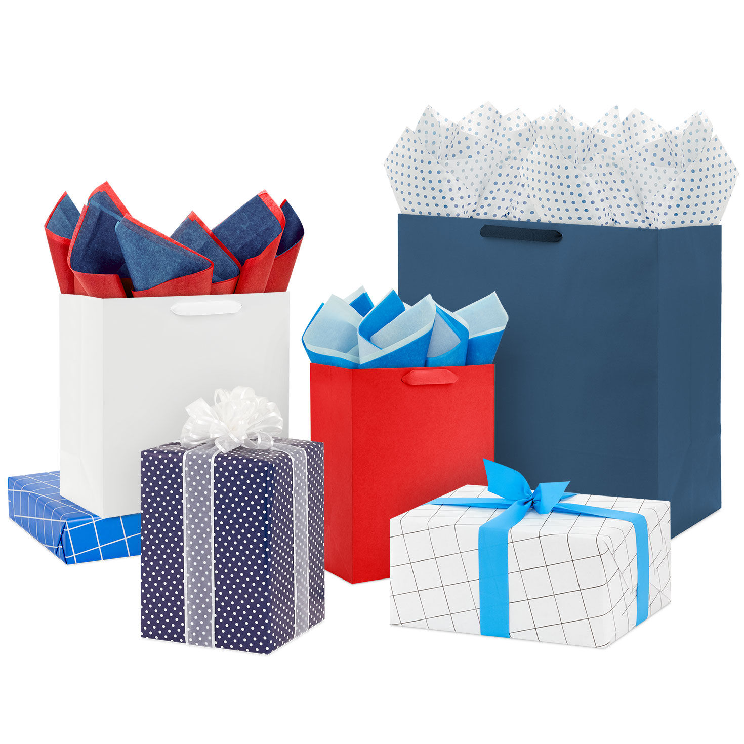 Pops of Color Gift Wrap Collection