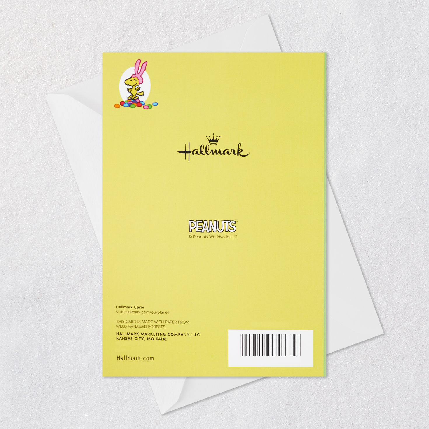 Peanuts&reg; Snoopy and Woodstock Easter Beagle Easter Card, , large image number 7