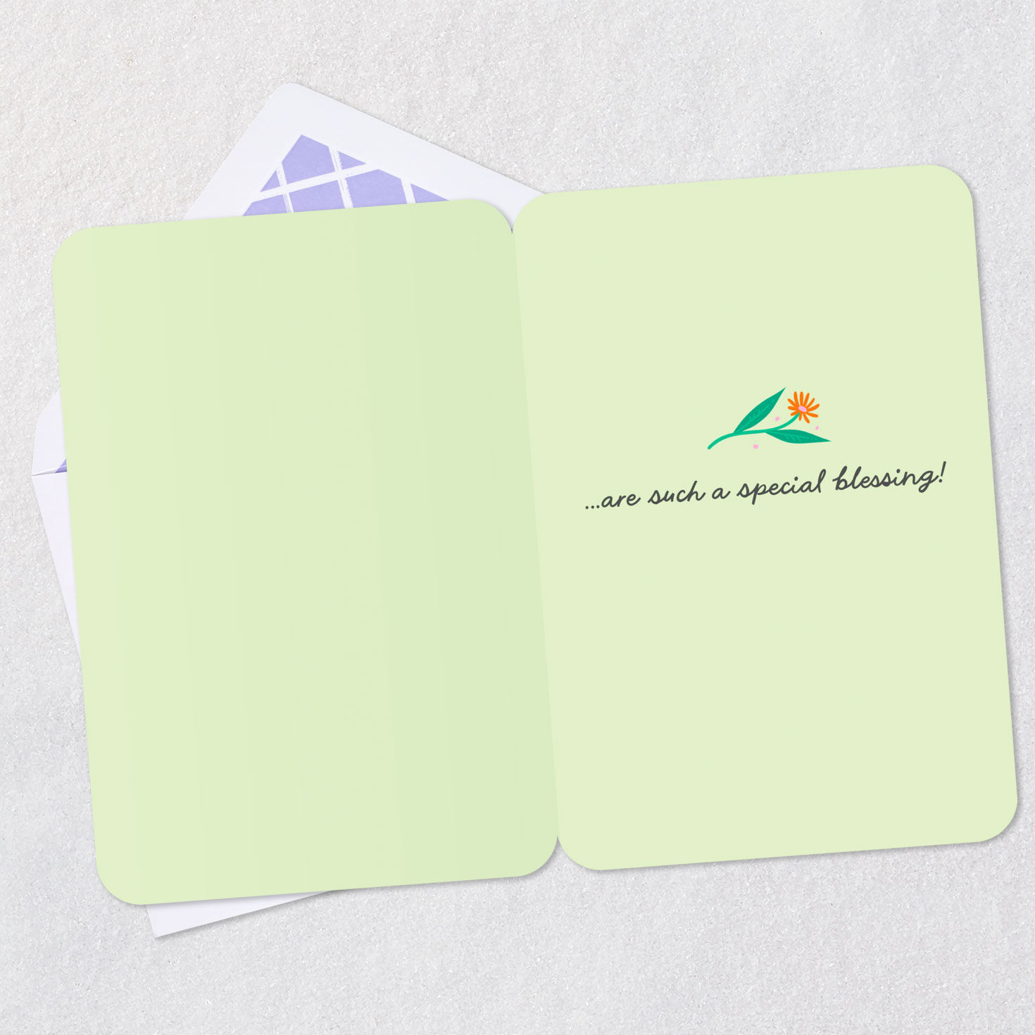 Fox and Hedgehog You're a Blessing Friendship Card Open card with envelope image number 3