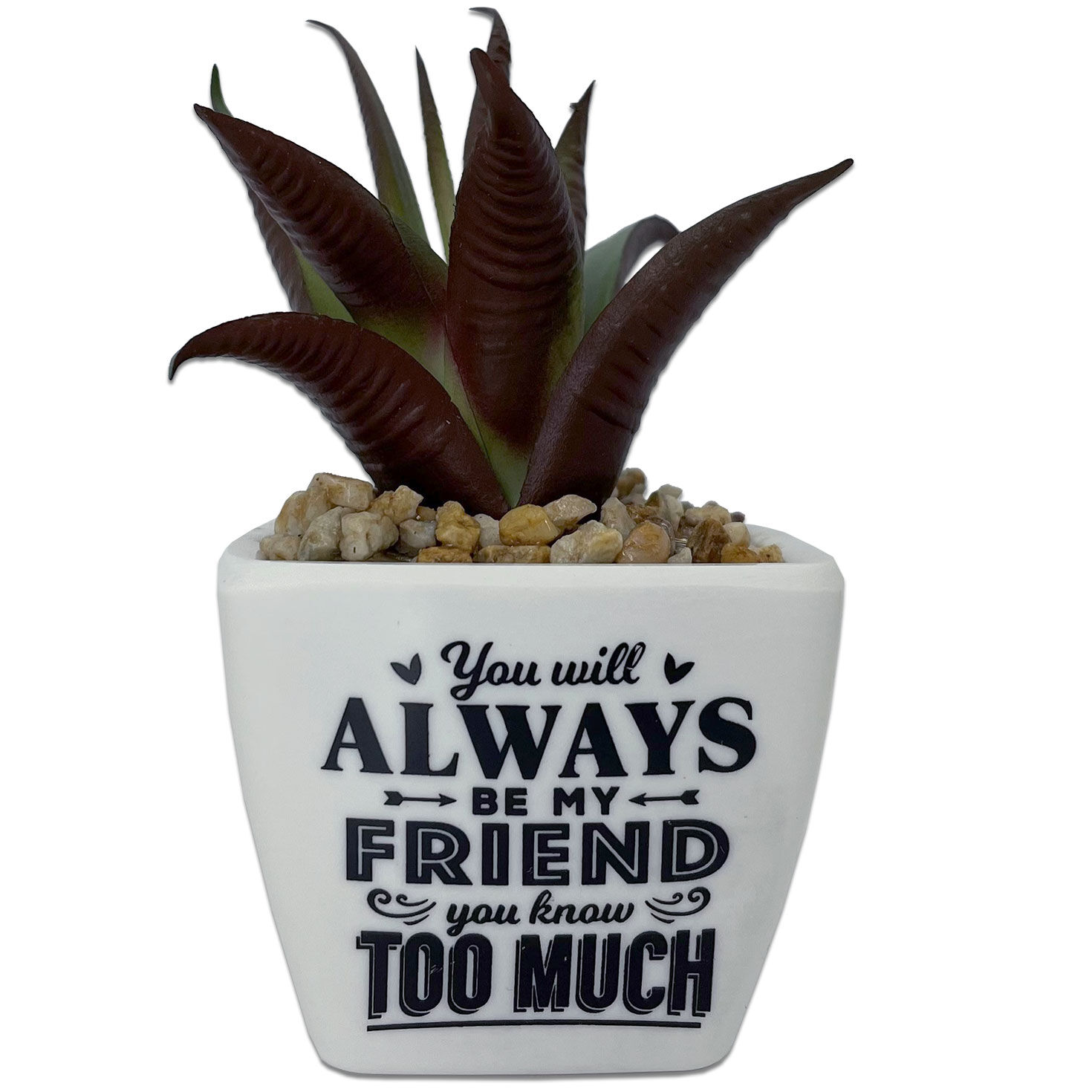 A white plant pot with black text and a succulent and rocks inside