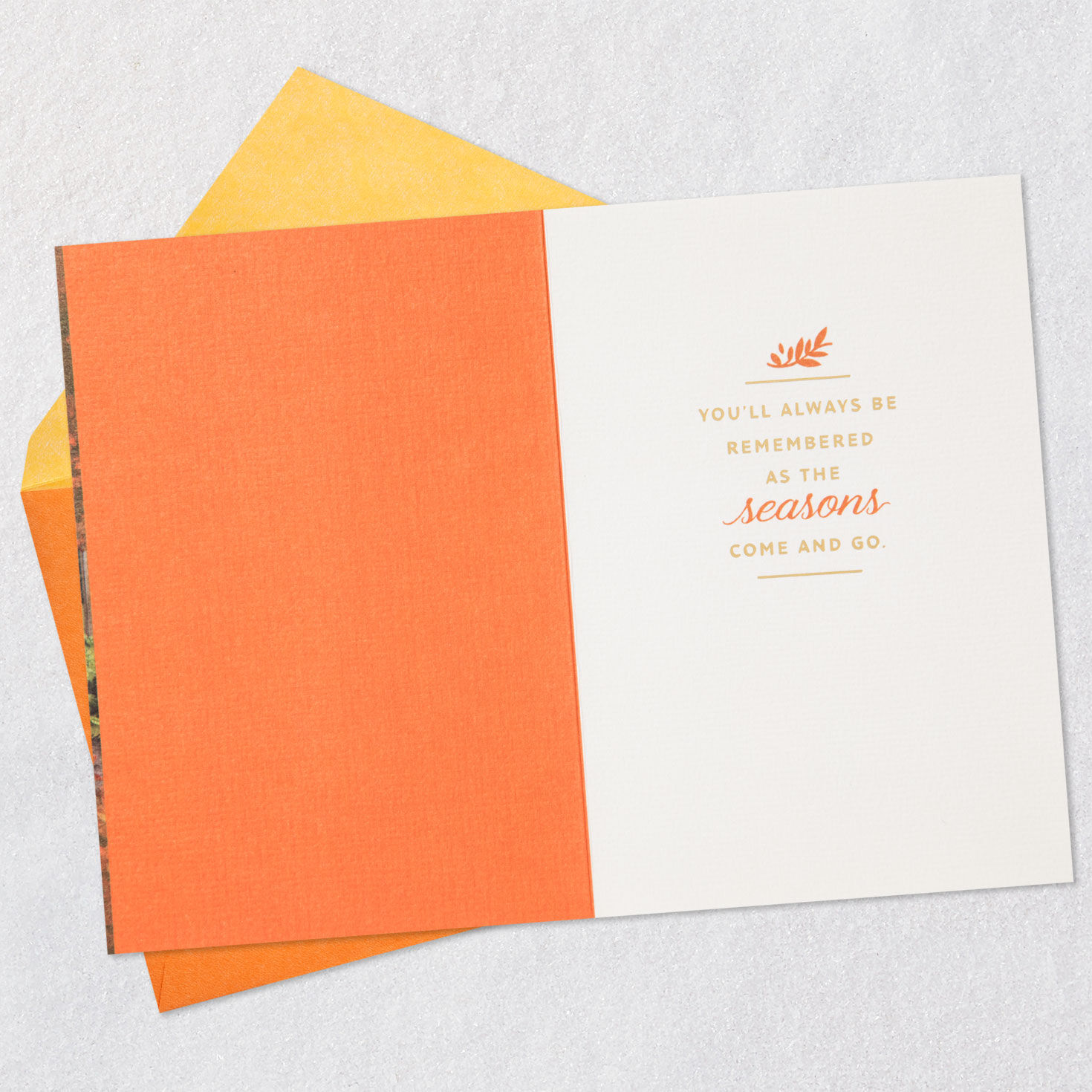 As the Seasons Come and Go Halloween Card for only USD 4.59 | Hallmark