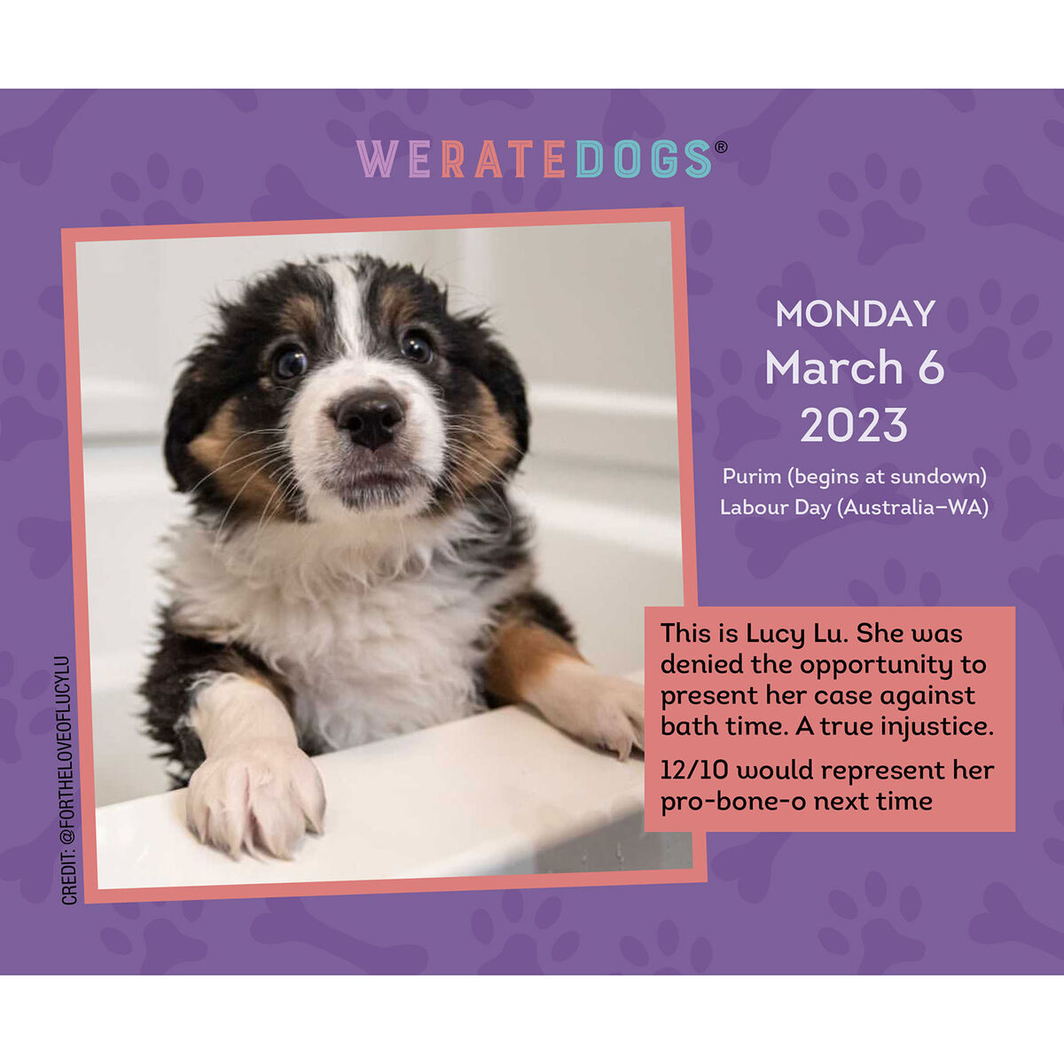 We Rate Dogs Calendar Customize and Print