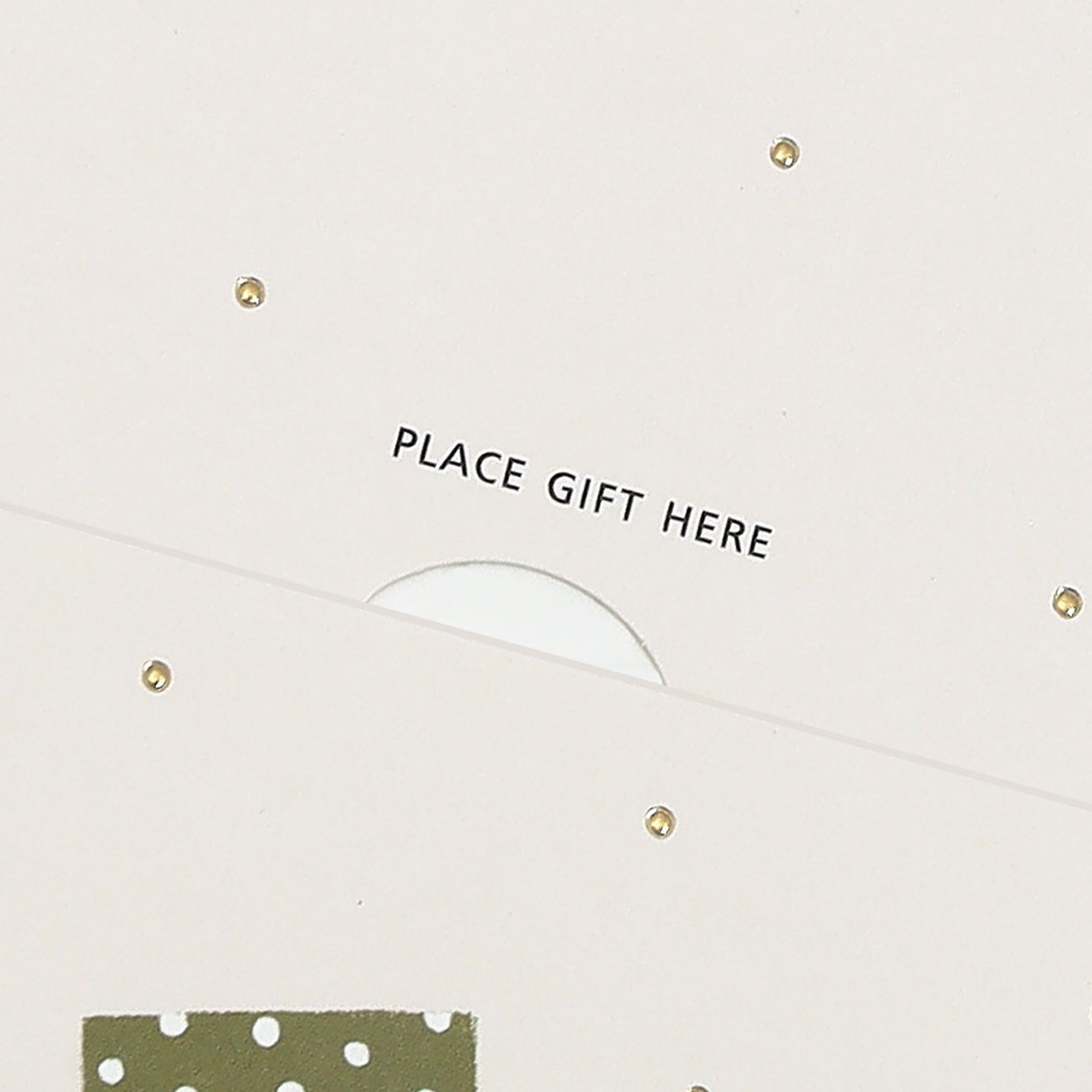 Presents Dog in Car Christmas Money Holder Card Sentiment image number 3
