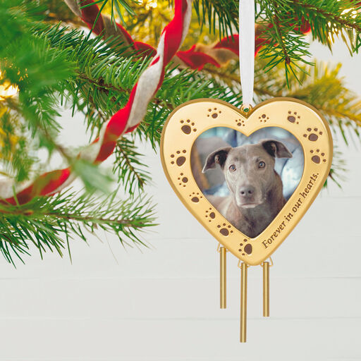 Forever Friend Metal Photo Frame Pet Memorial Ornament, 