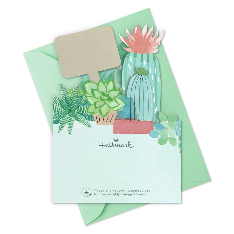 Potted Cactus and Succulents Blank Thank You Notes card back with envelope image number 6