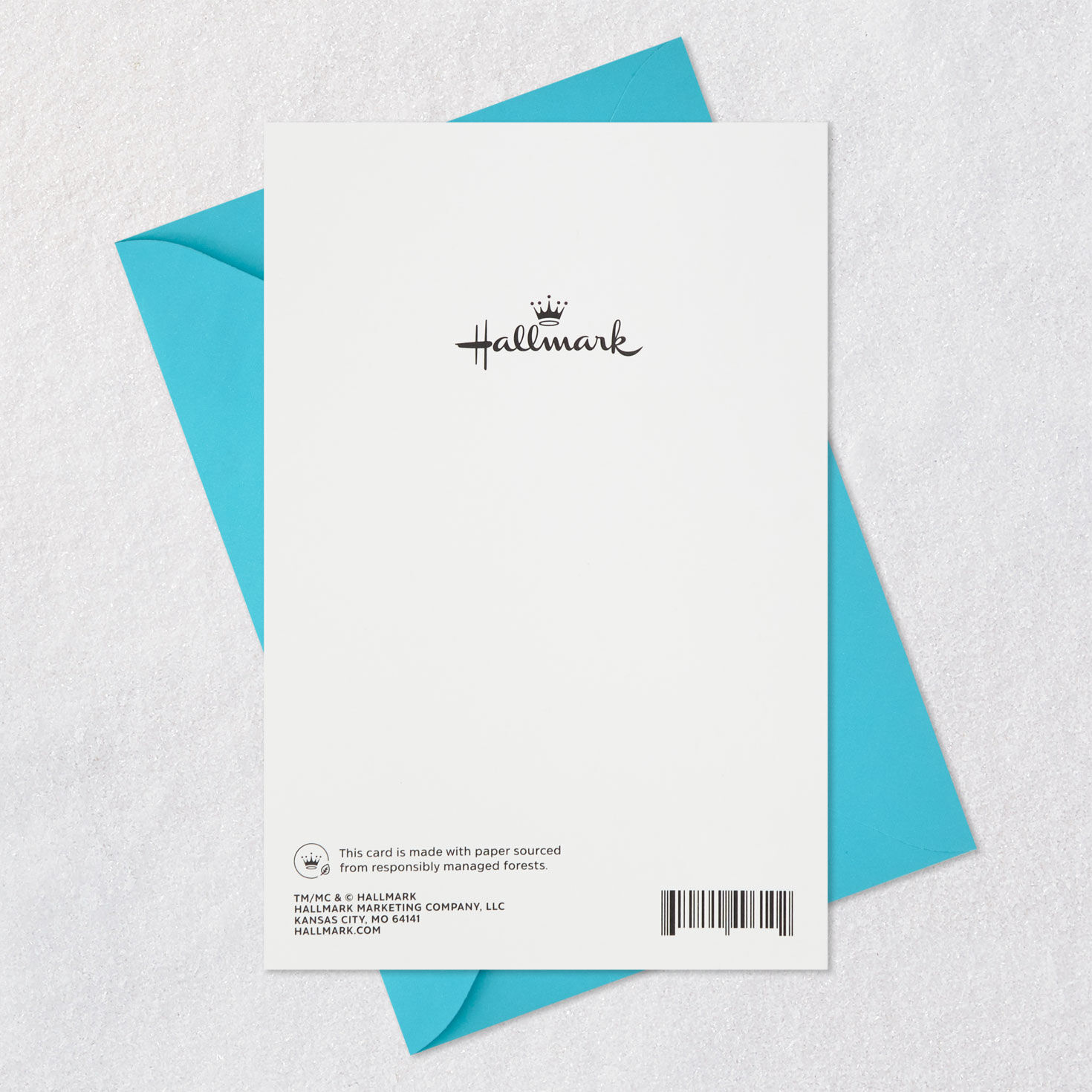 Find Your Sunny Spot Birthday Card From the Cat, , large image number 7