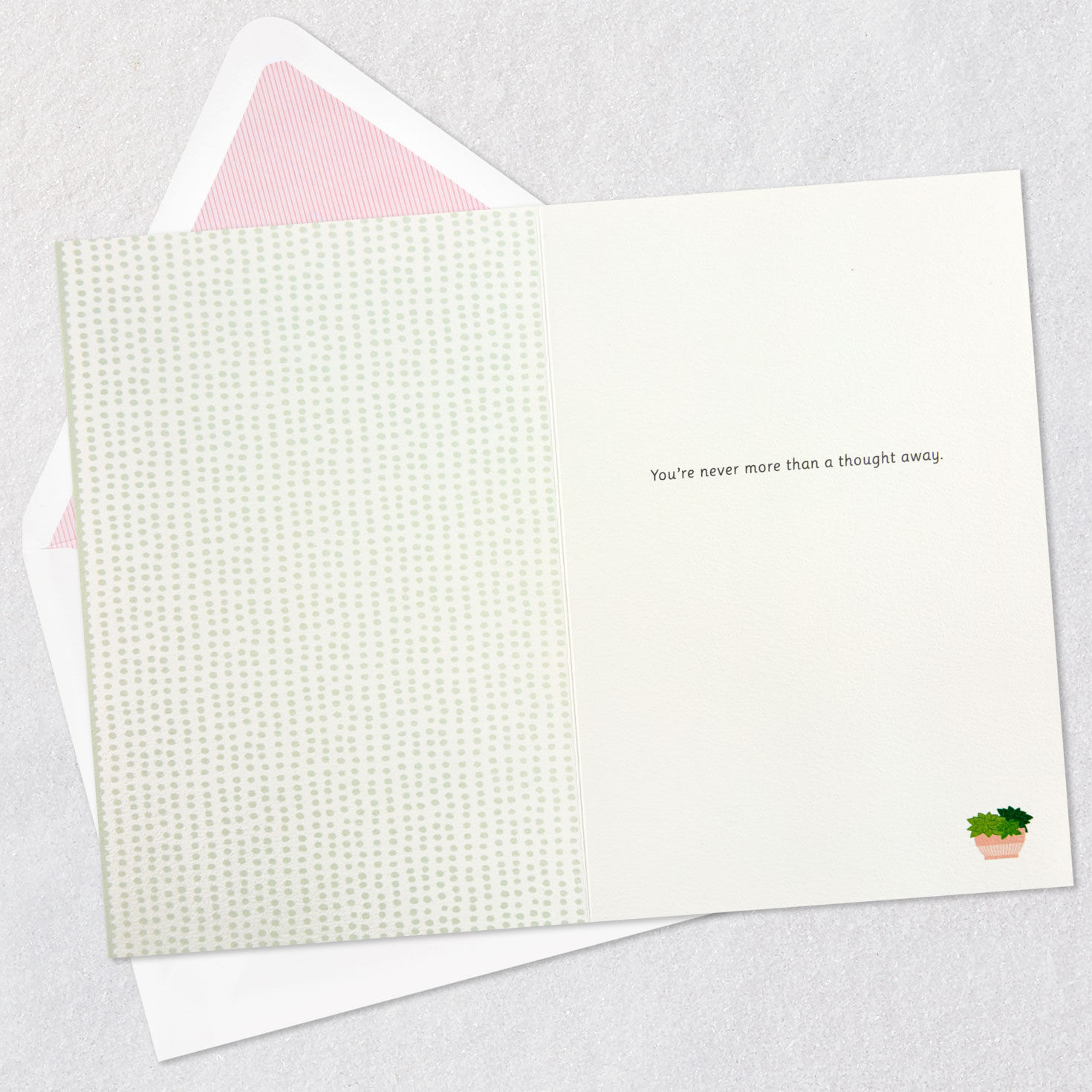 Pothos and Snake Plants with Cat Thinking of You Card Open card with envelope image number 3