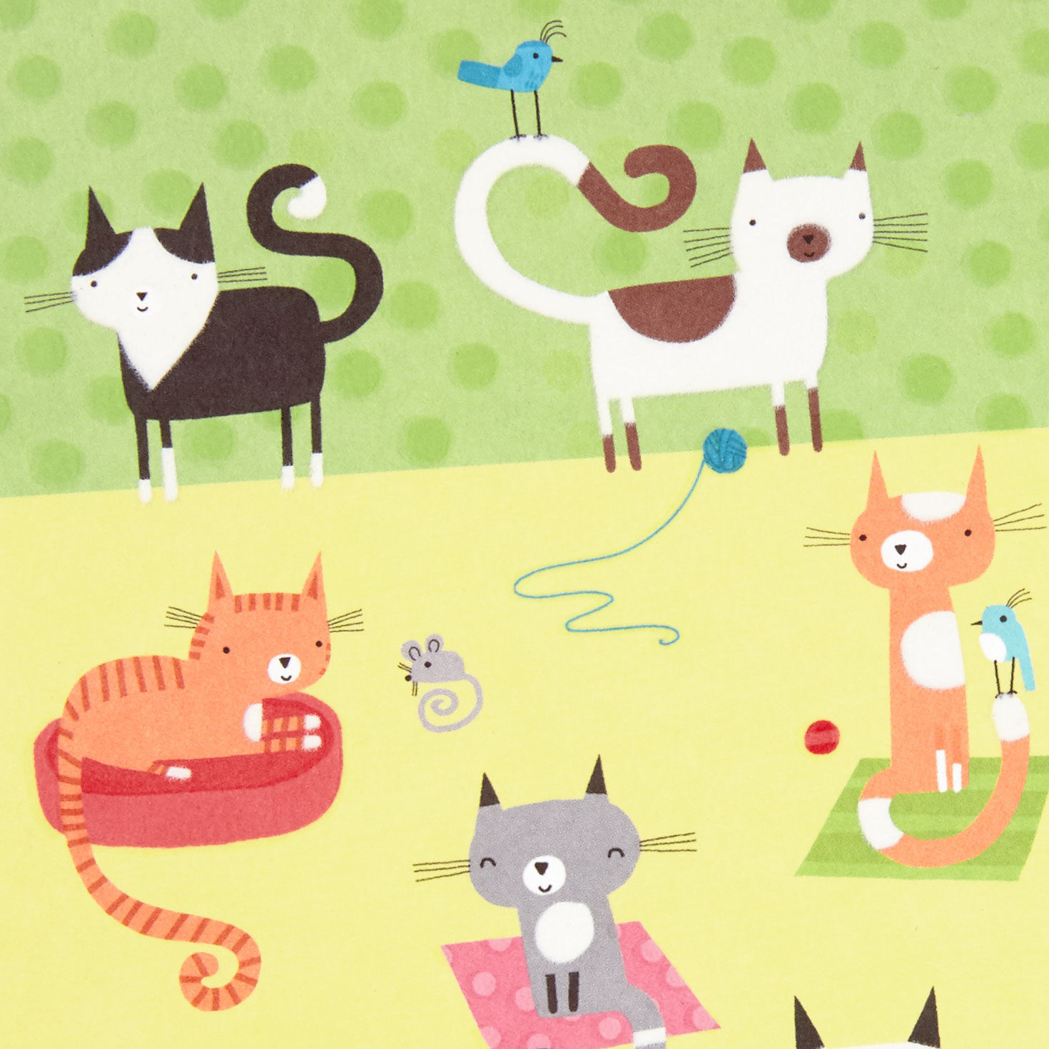 Cute Cats Blank Card for only USD 4.59 | Hallmark