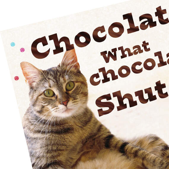 Cat and Chocolate Funny Valentine's Day Card, , large image number 4
