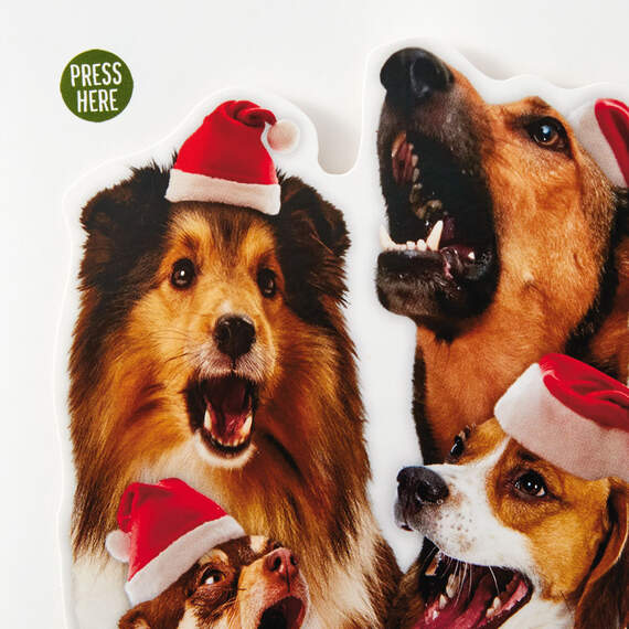Dog Quartet Christmas Card With Sound and Motion, , large image number 4