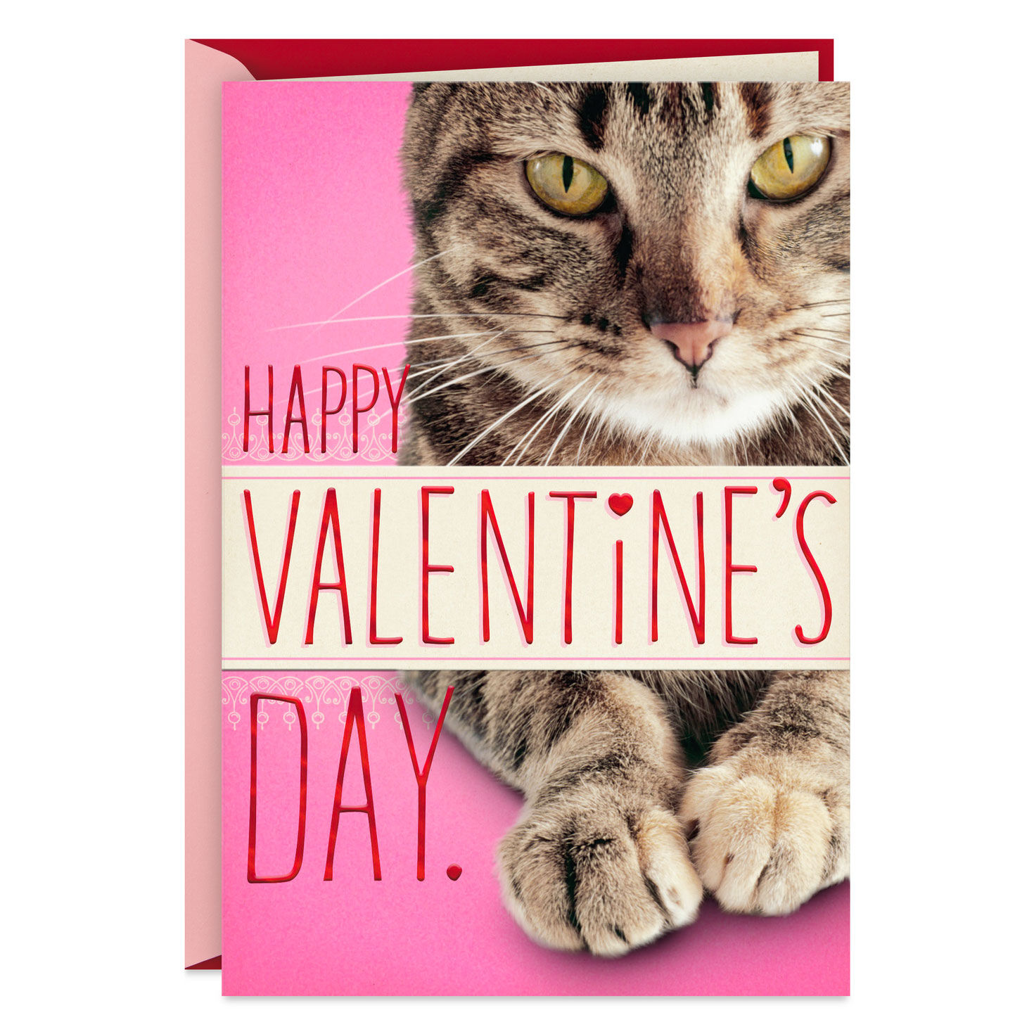 You're in My Chair Funny Valentine's Day Card From Cat