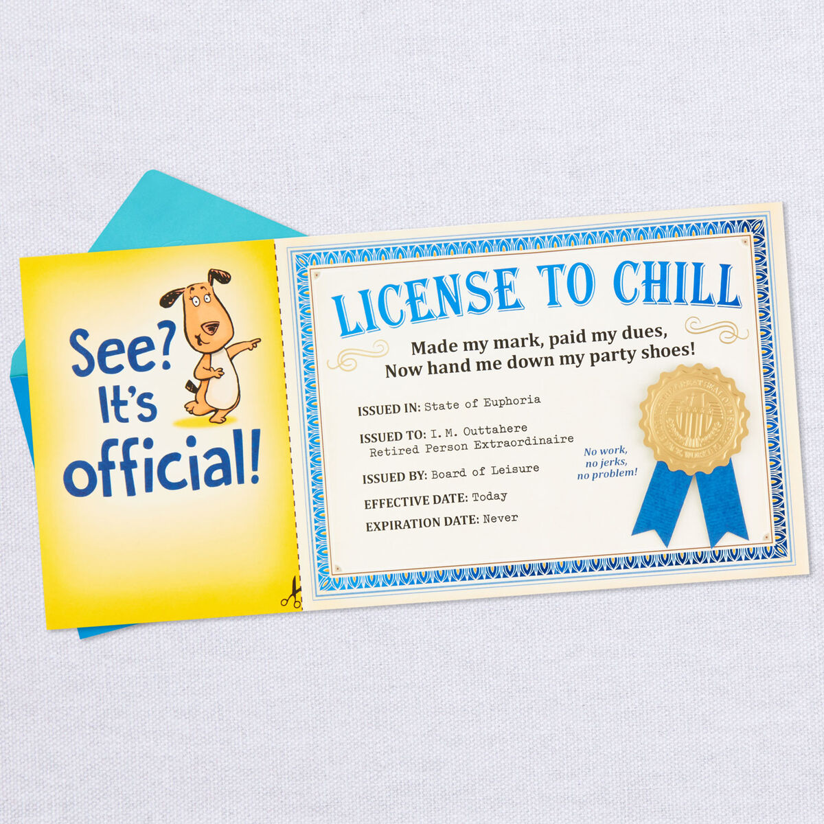 License to Chill Certificate Funny Retirement Card Greeting Cards