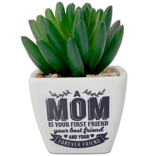 Faux Potted Succulent With Mom Message, 