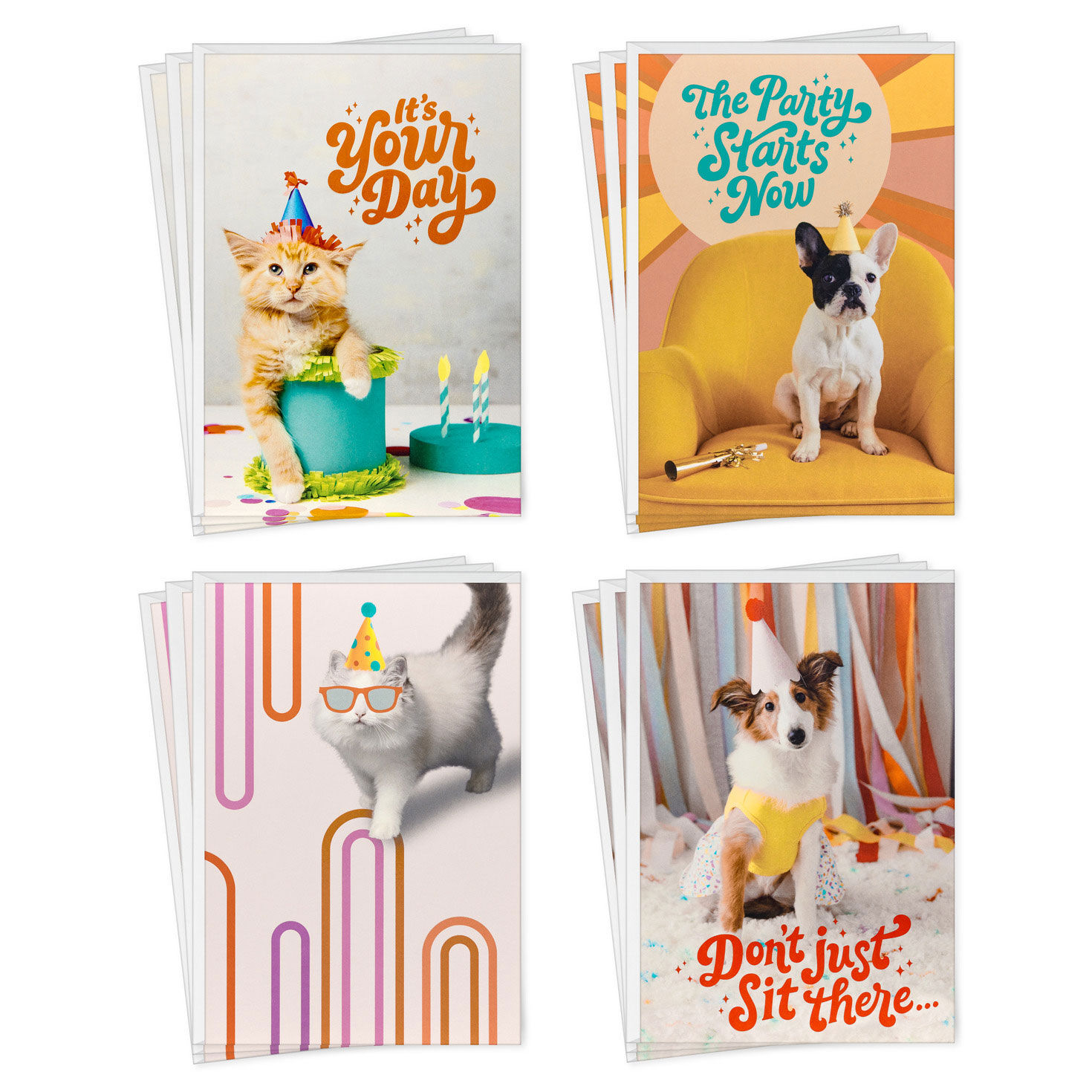 Party Pets Assorted Birthday Cards, Pack of 12