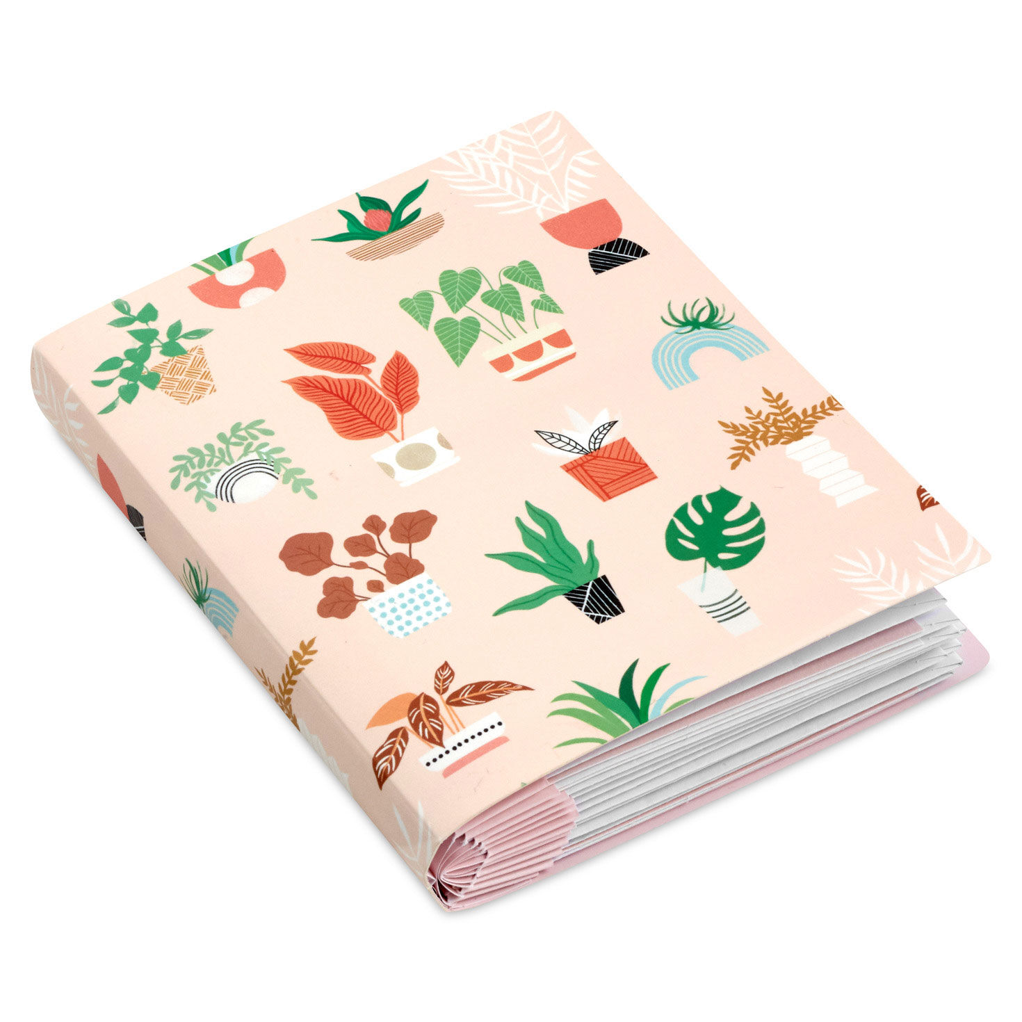 Potted Plant Booklet of All-Occasion Cards package image number 2