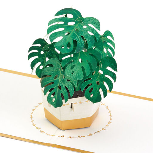 Plant in Pot 3D Pop-Up Thinking of You Card, 