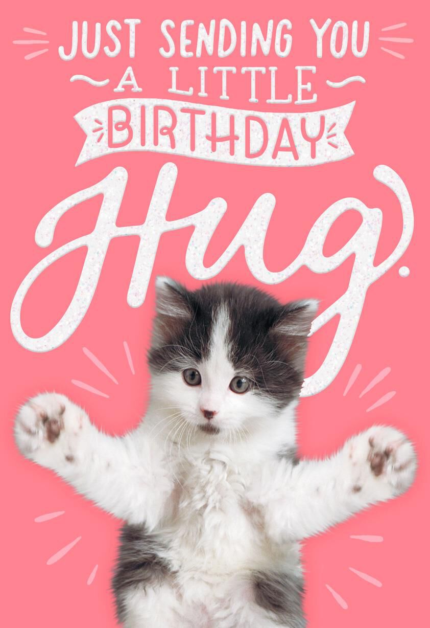 Kitten Hug Birthday Card