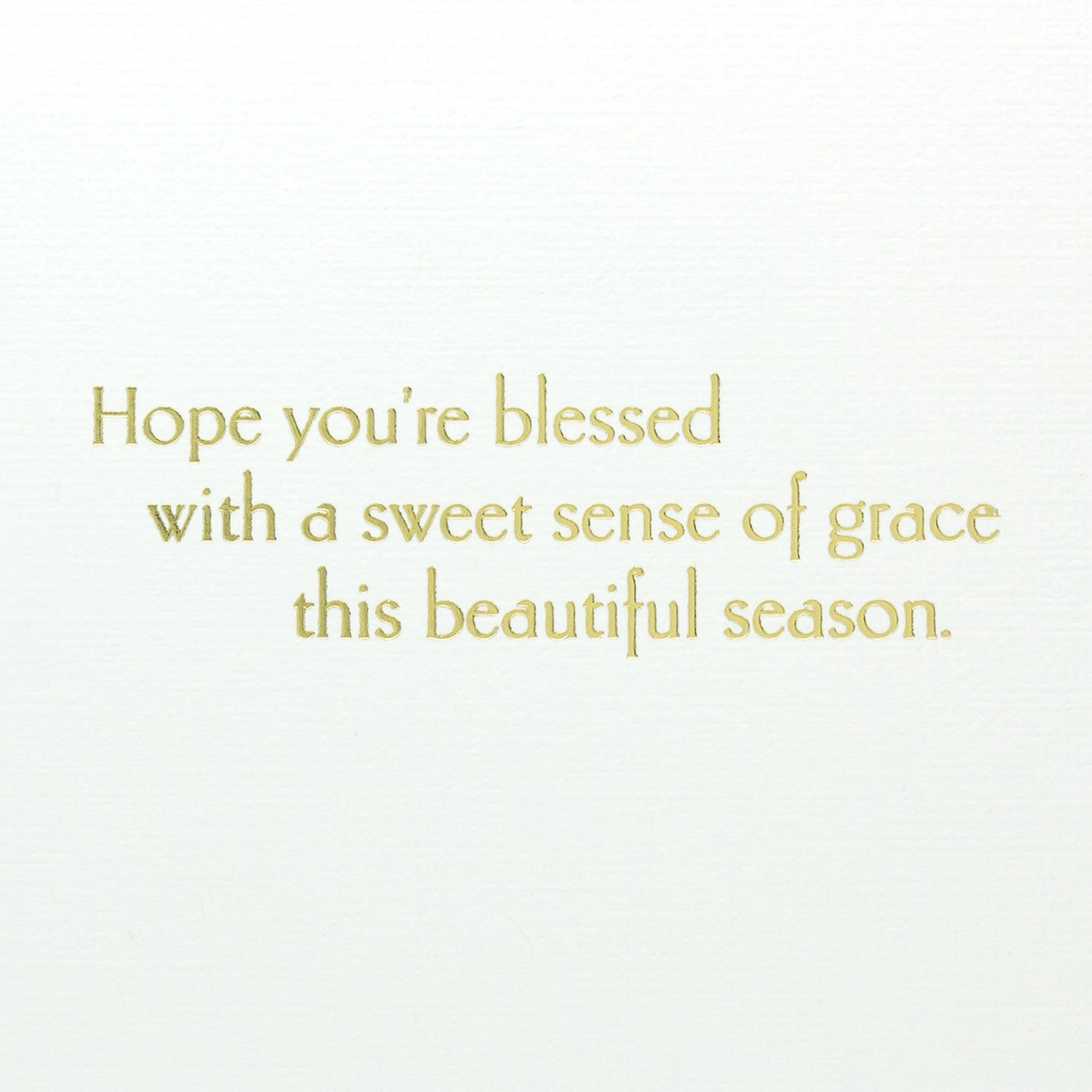 Bluebird and Nest With Eggs Easter Card sentiment image number 2