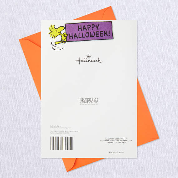 Peanuts® Snoopy and Woodstock Funny Pop-Up Halloween Card With Mini Cards, , large image number 8