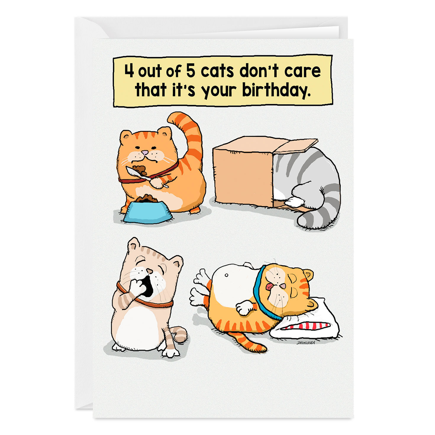 Cats Don't Care Funny Custom Birthday Card, , large image number 1