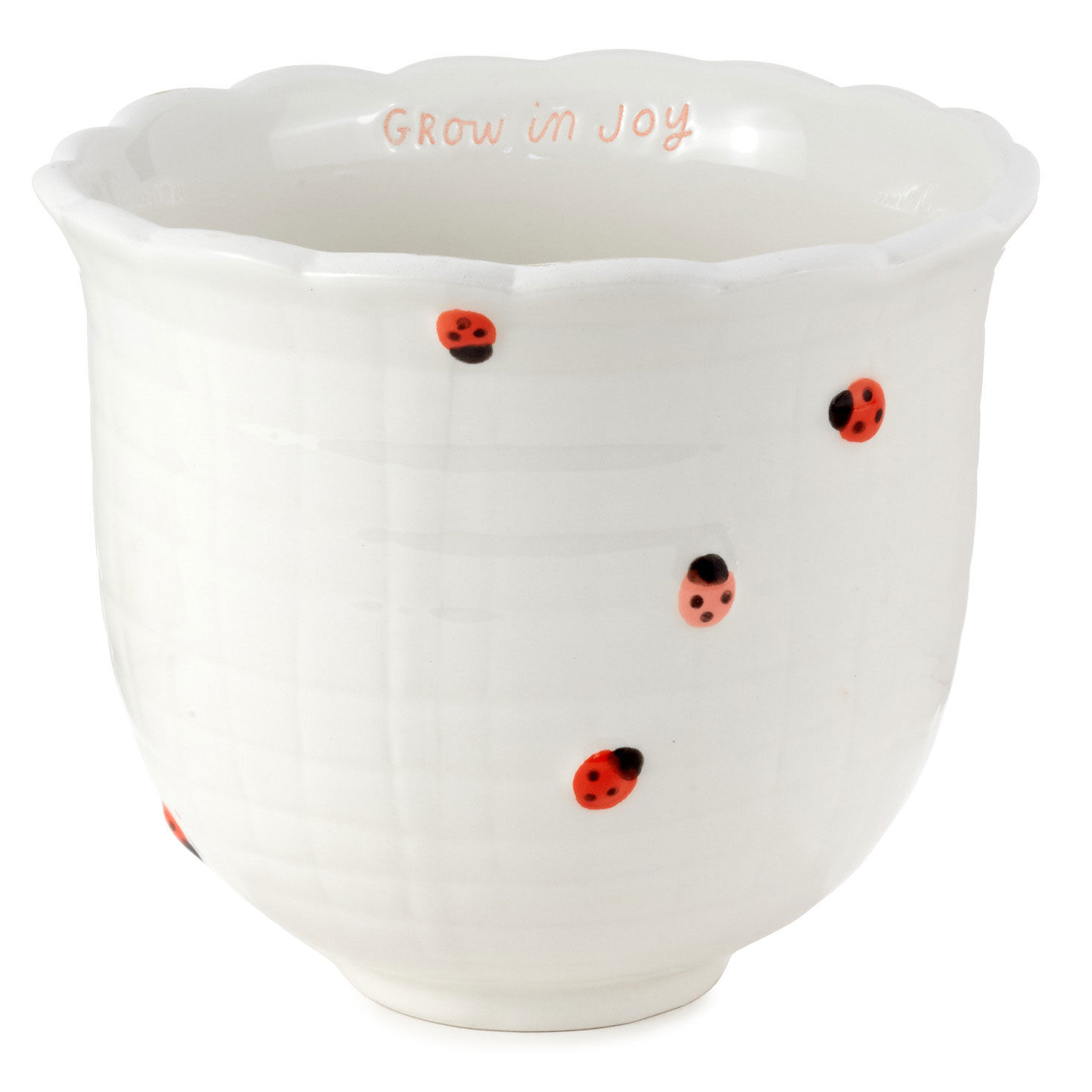 Ladybug Ceramic Planter for only USD 24.99 | Hallmark