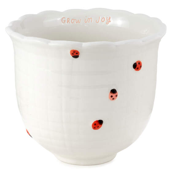 Ladybug Ceramic Planter