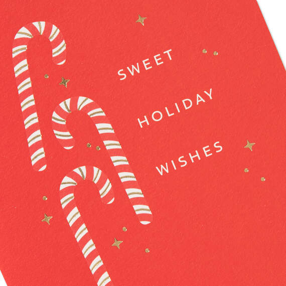 Sweet Holiday Wishes Christmas Card, , large image number 4