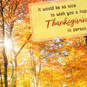 Warm Thoughts and Wishes Across the Miles Thanksgiving Card, , large image number 4