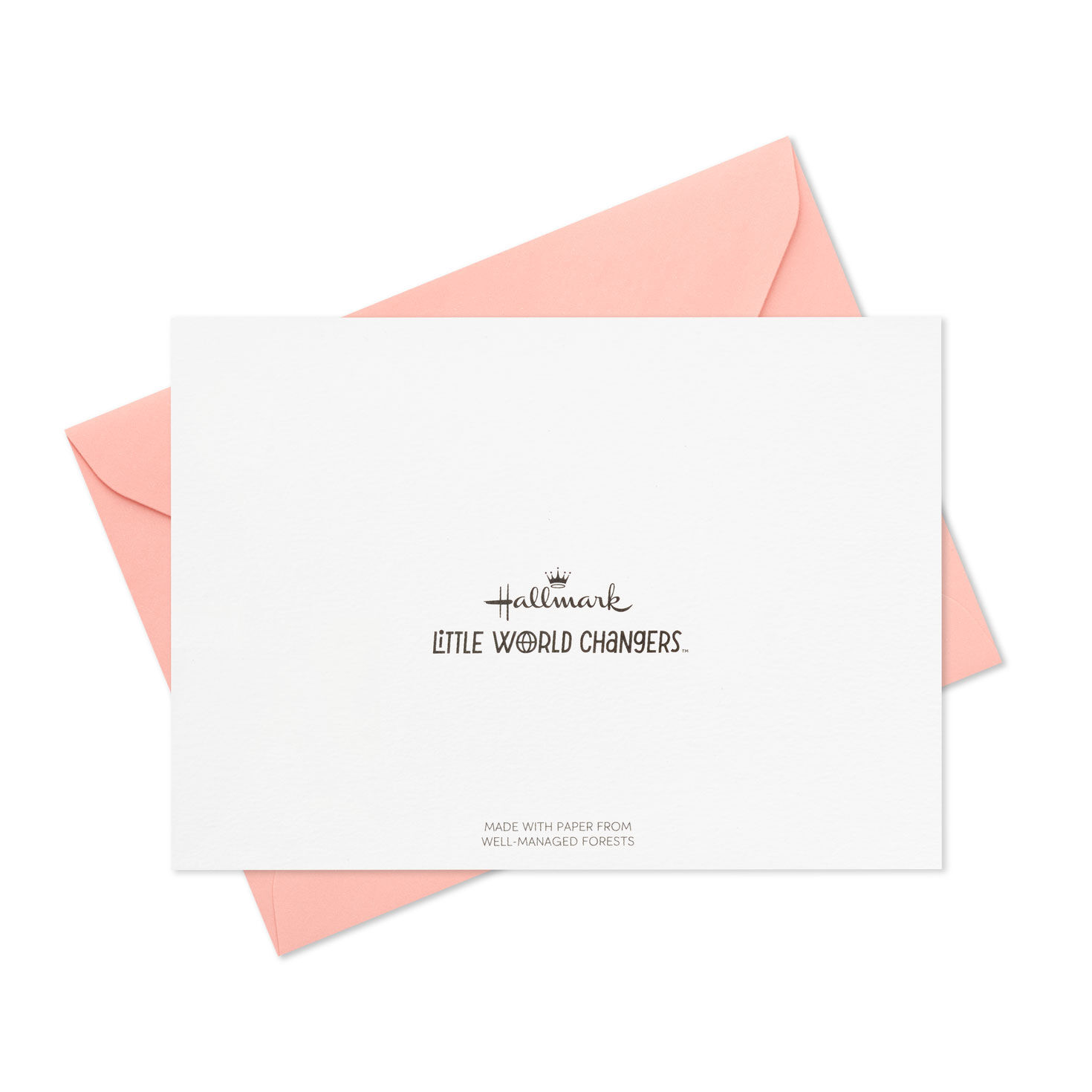 Little World Changers&trade;  Assorted Blank Note Cards in Caddy, Pack of 24, , large image number 7