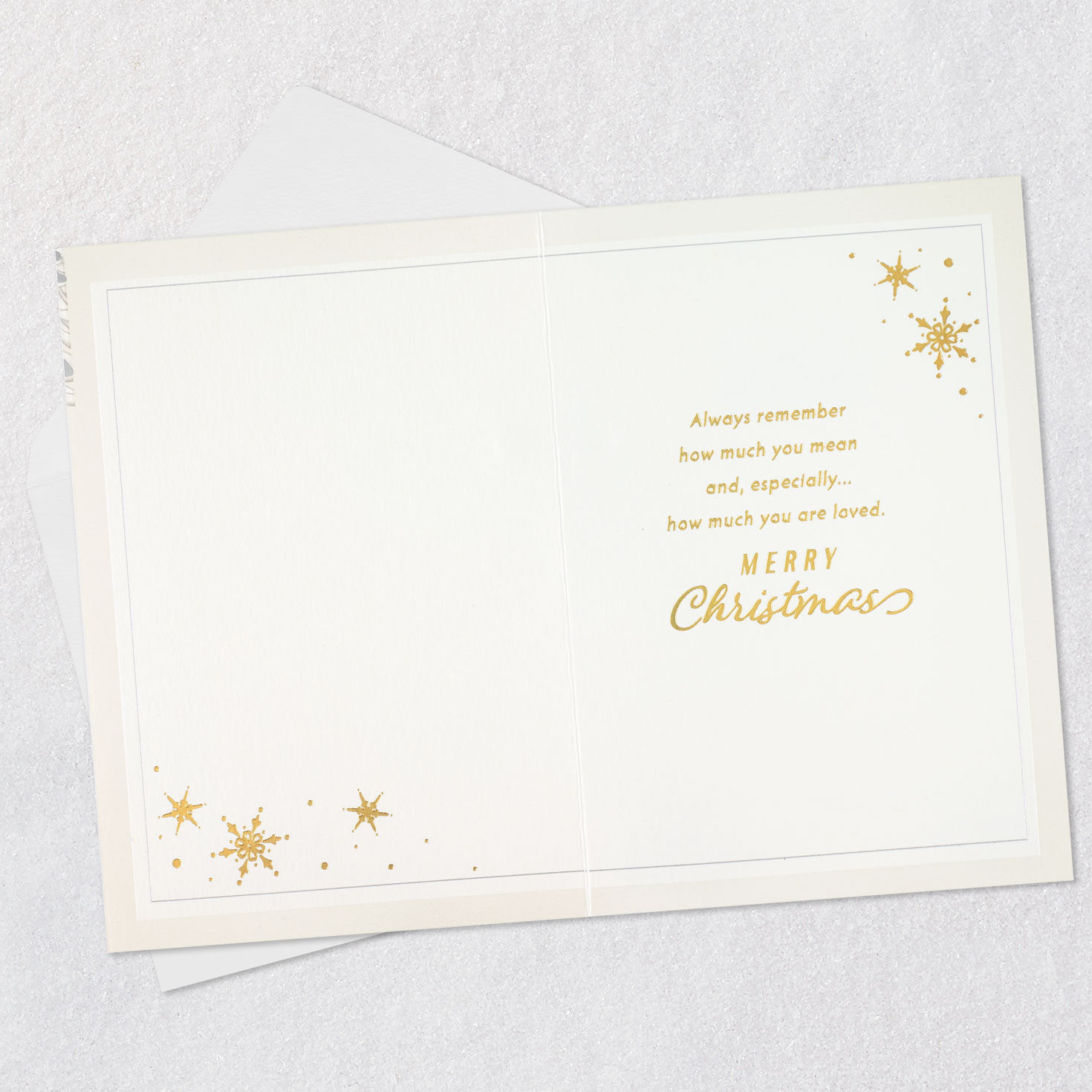 Pinecones Christmas Card for Son and Daughter-in-Law Open card with envelope image number 3