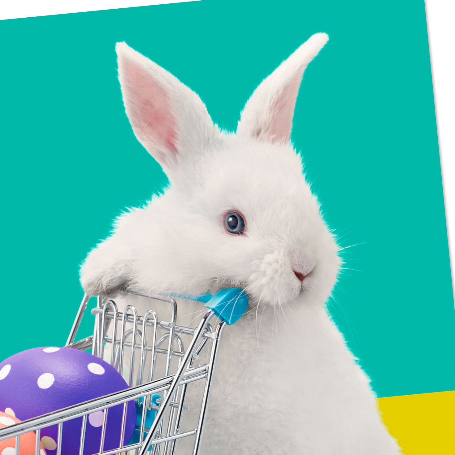 Filled With Happiness Funny Easter Card, , large image number 4