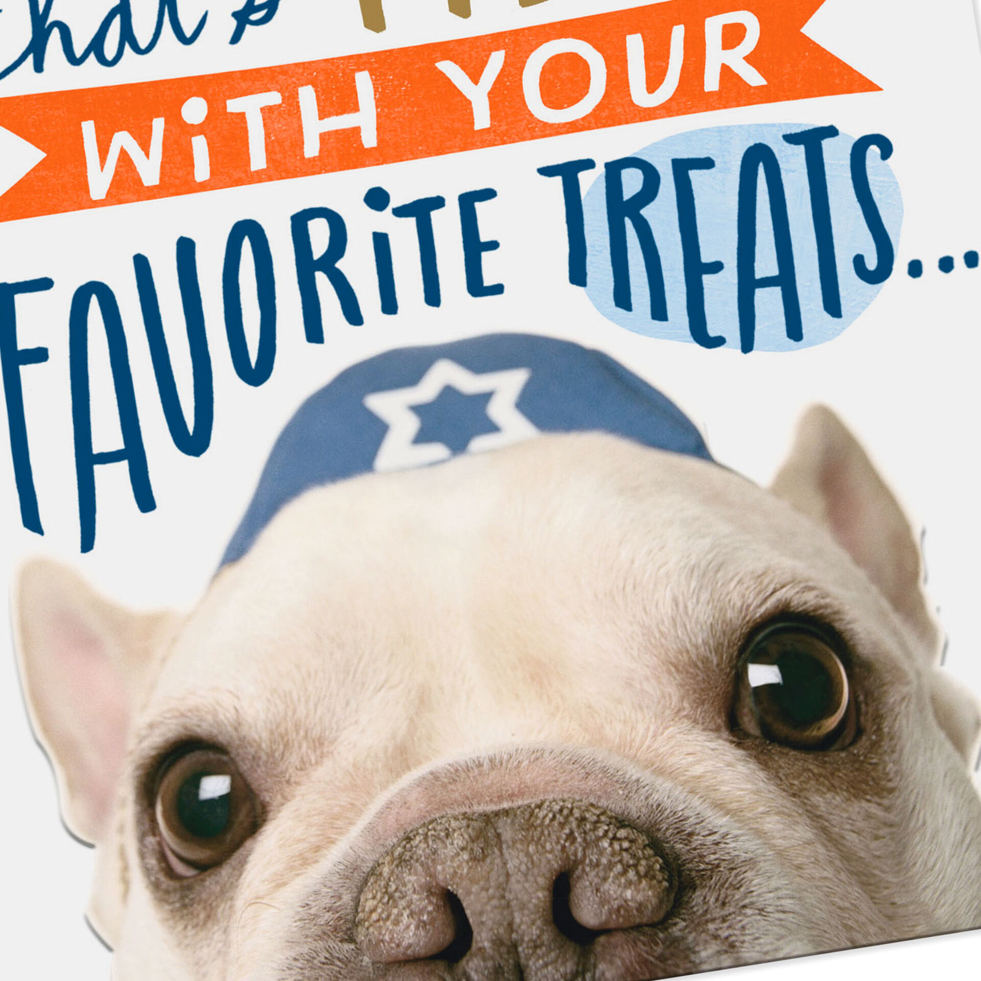 Dog in Yarmulke Funny Rosh Hashanah Card - Greeting Cards - Hallmark