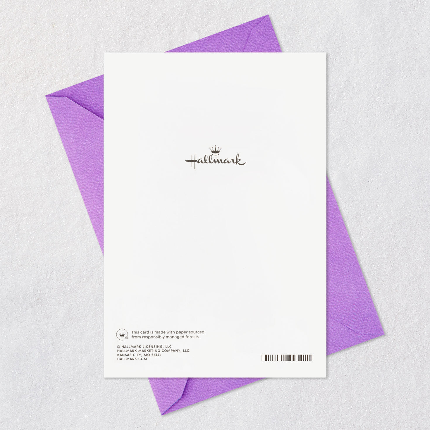 We Remember It All Birthday Card for Sister, , large image number 8