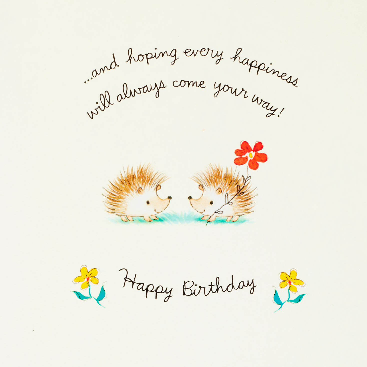 Hallmark Signature Birthday Greeting Card for Sister Then, Now, Always 