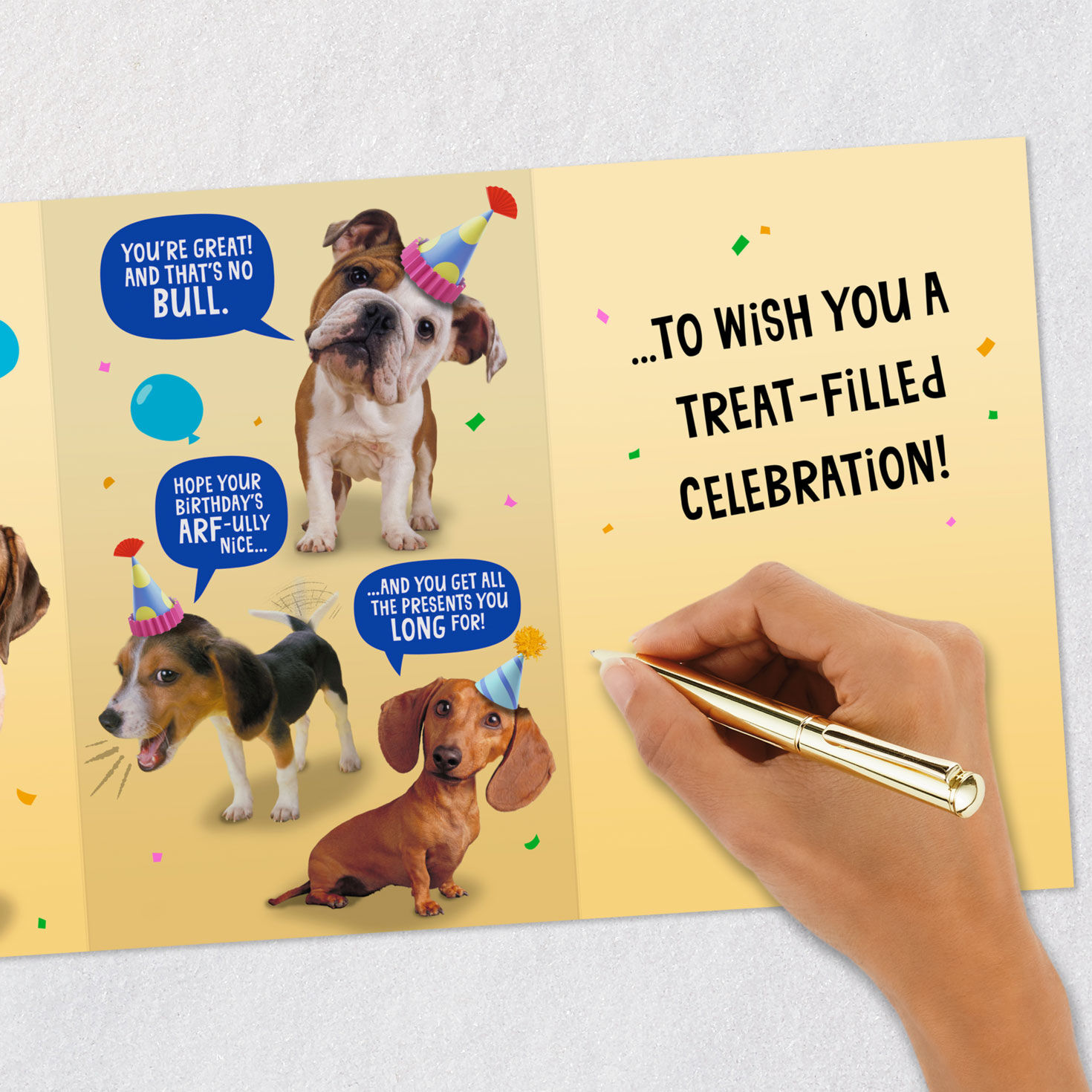 Punny Dogs in Party Hats Funny Birthday Card signing card image number 9