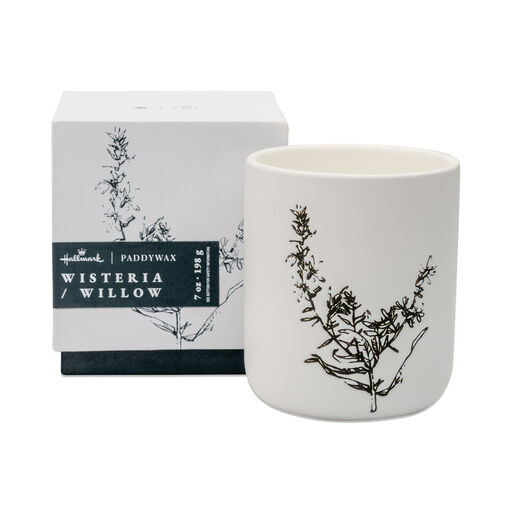 Paddywax Wisteria & Willow Boxed Ceramic Candle, 7 oz., 