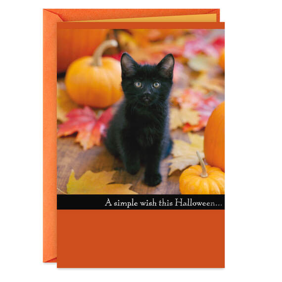 You Mean So Much Black Kitten and Pumpkins Halloween Card, , large image number 1