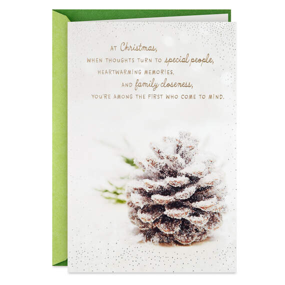 You're a Special Person Christmas Card for Nephew