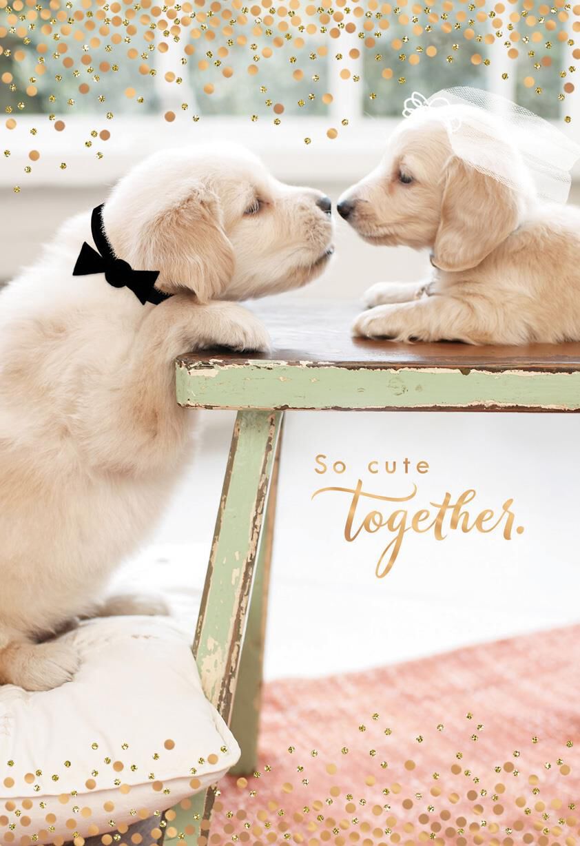 Puppies Cute Couple Wedding Card