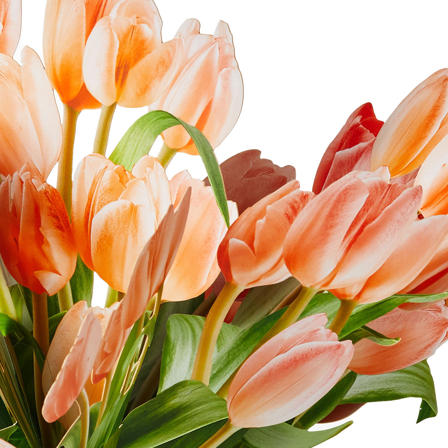 Build-a-Bouquet Peach Tulips Pop-Up Paper Flowers, Peach Tulips, large image number 4