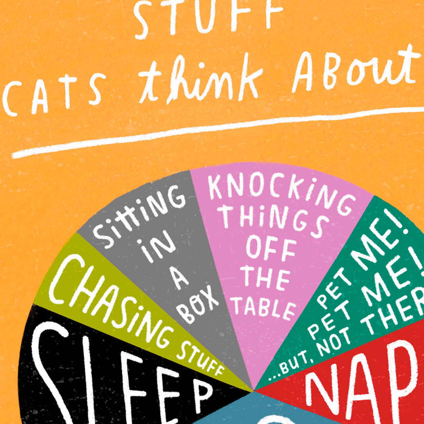 Stuff Cats Think About Pie Chart Funny Blank Card Card Front Detail image number 3