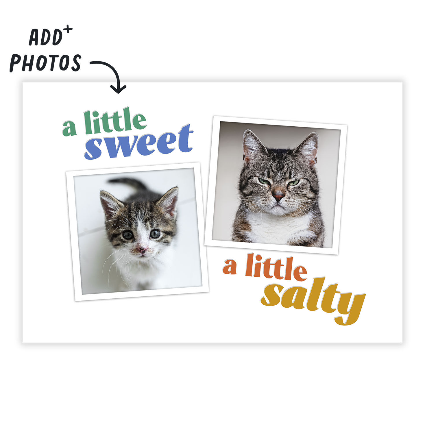 Sweet and Salty Funny eCard, , large image number 2