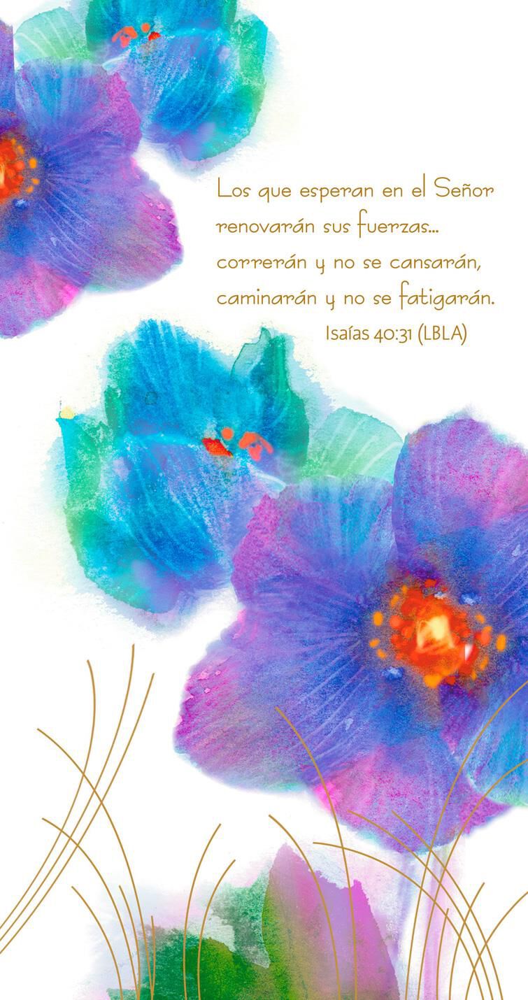 A Prayer of Encouragement Spanish-Language Sympathy Card
