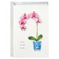 Pink Orchids in Chinoiserie Pot Birthday Card Card Front
 image number 1
