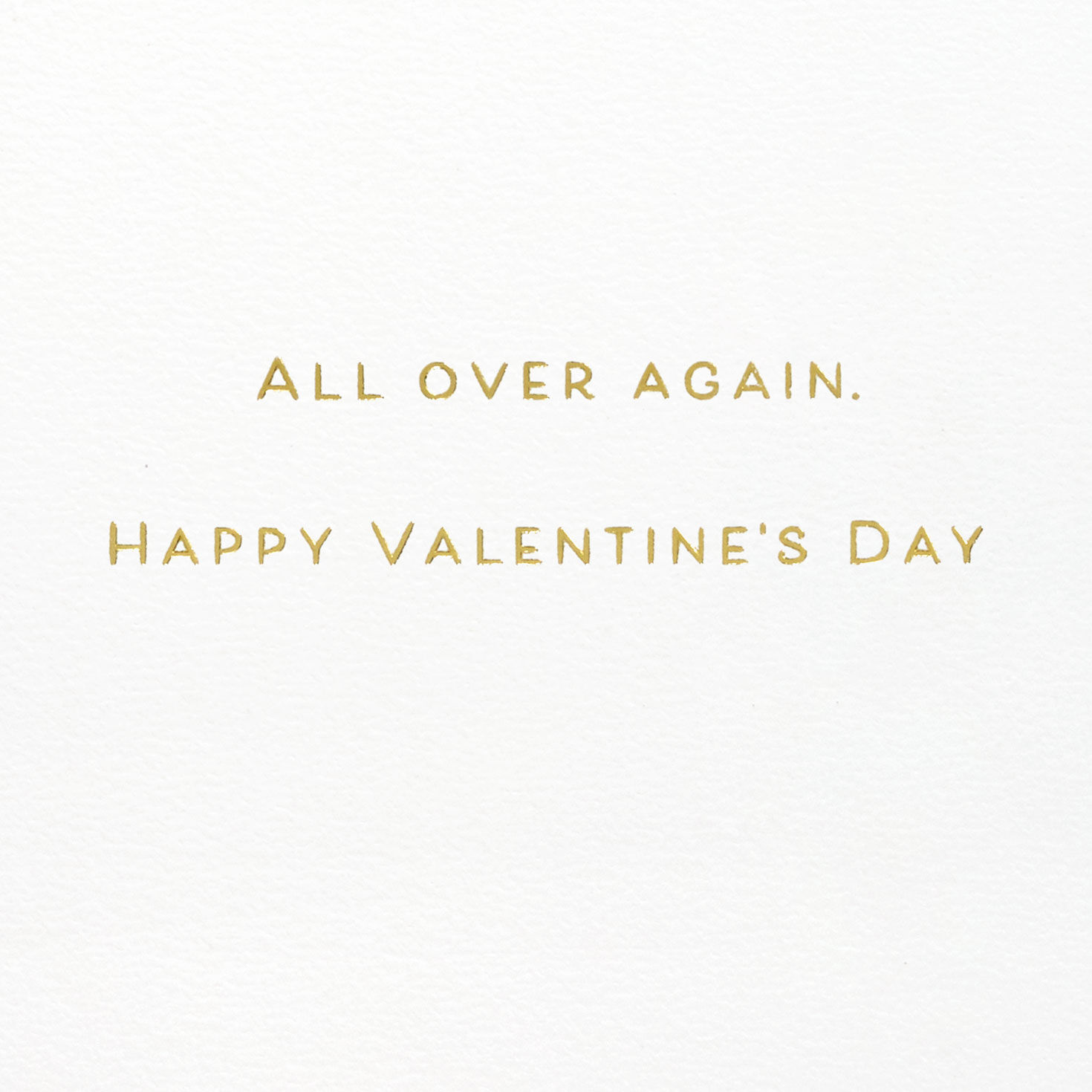 Flower Garden and Butterflies Valentine's Day Card Sentiment image number 2