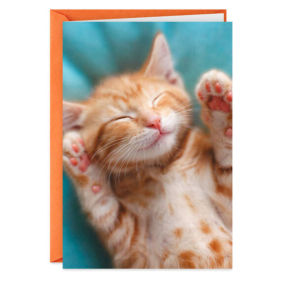Kitten With To-Do List Get Well Card
